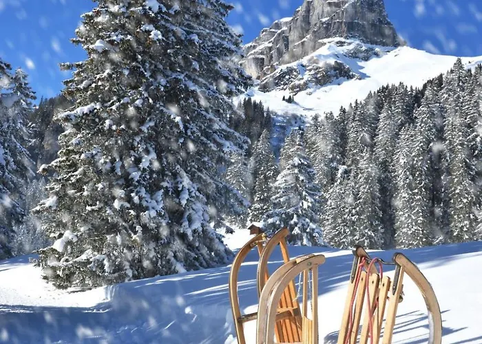 Seewiese Apt- 103 By Interhome Lejlighed